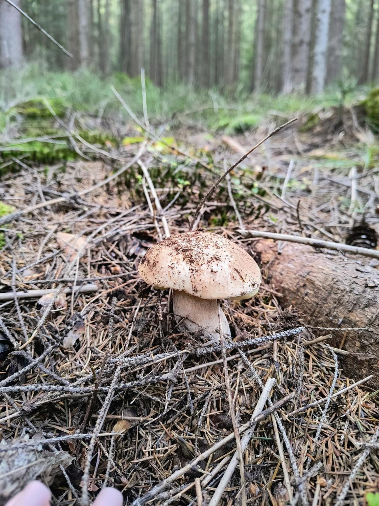 Hotel Na Hutori Tatarów Zewnętrze zdjęcie